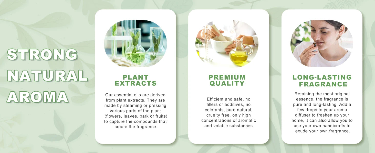 Phatoil 100ml Premium Essential Oil Set - Sandalwood Lavender Eucalyptus - JStorehub 