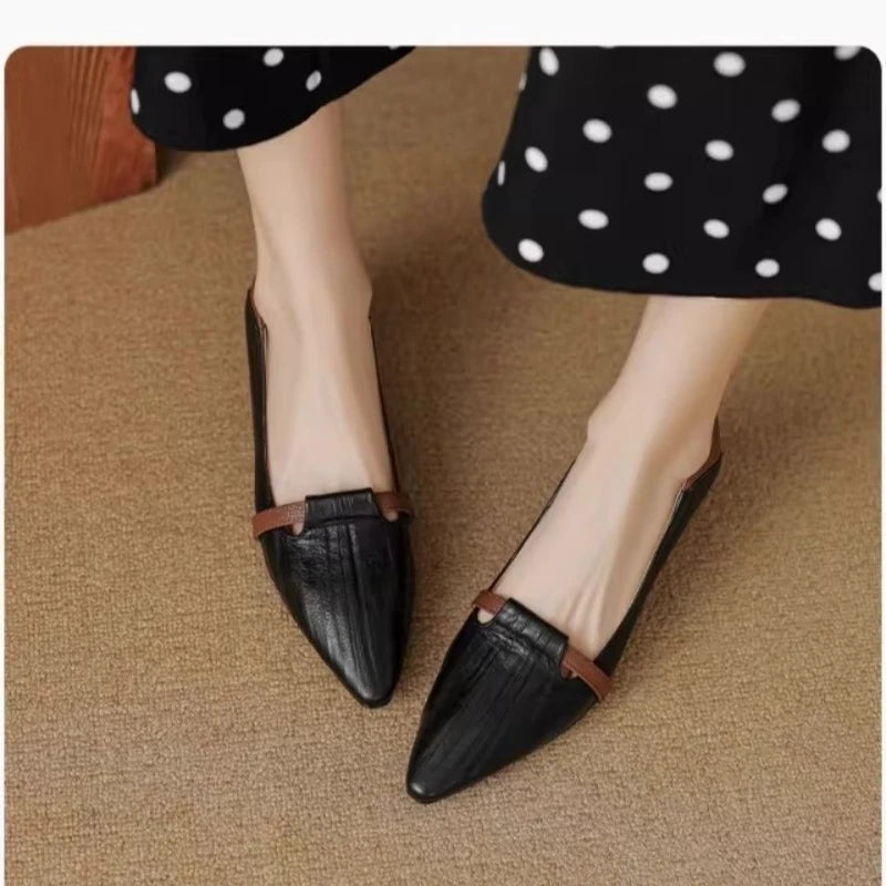 2026 Women's Pointed Toe High Heels - Comfortable Low Cut Pumps Sandals - JStorehub 