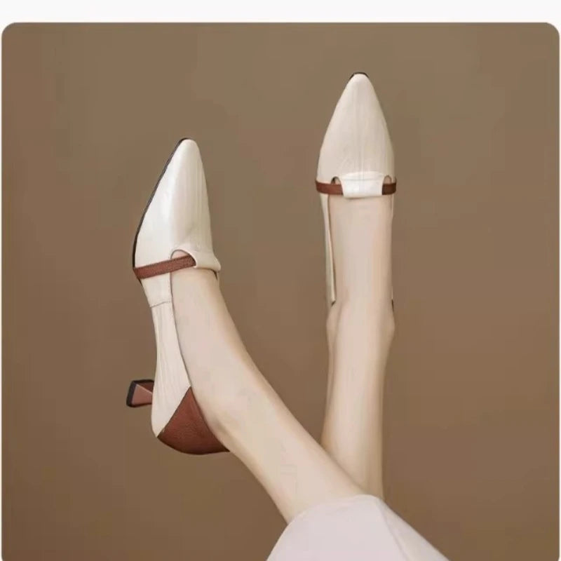 2026 Women's Pointed Toe High Heels - Comfortable Low Cut Pumps Sandals - JStorehub 