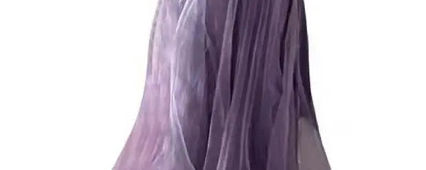Spring 2026 Plus Size Long Lace A-Line Dress - High Waist Slimming Gown - JStorehub 