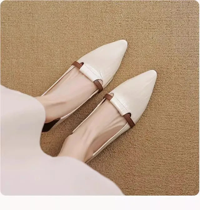 2026 Women's Pointed Toe High Heels - Comfortable Low Cut Pumps Sandals - JStorehub 