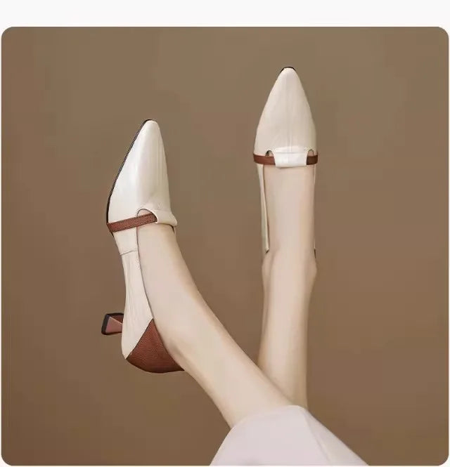 2026 Women's Pointed Toe High Heels - Comfortable Low Cut Pumps Sandals - JStorehub 